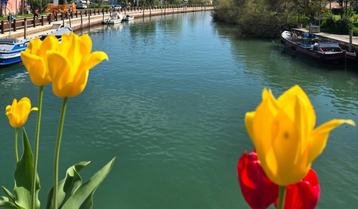 cavallino treporti ph ig