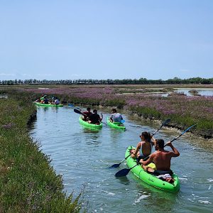 cavallino treporti ph ig1