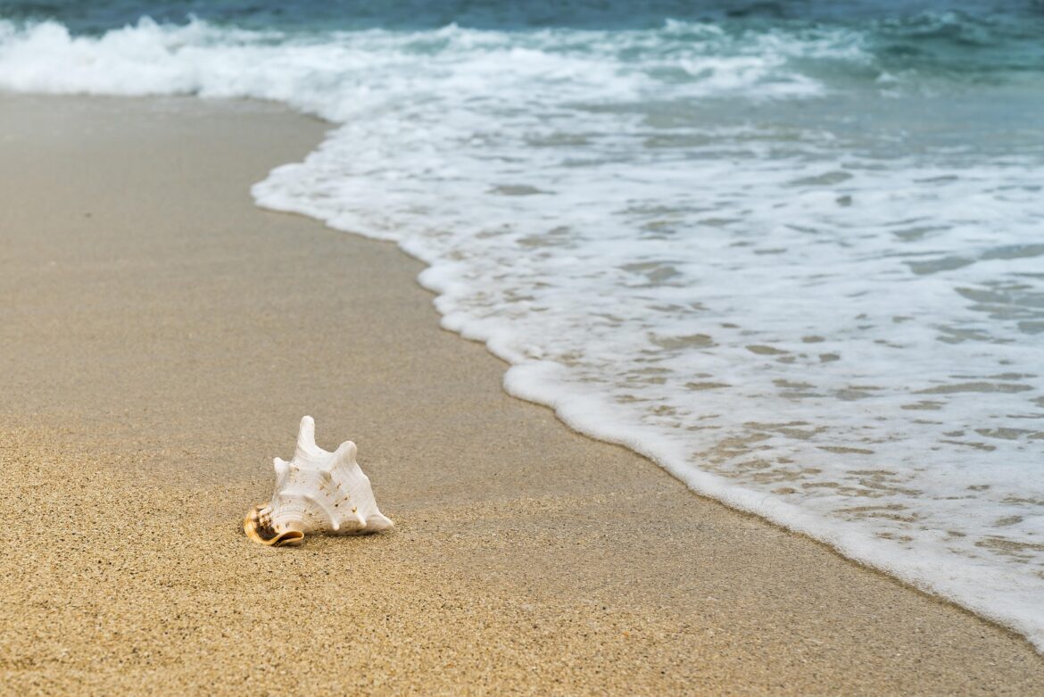 spiaggia ph pixabay