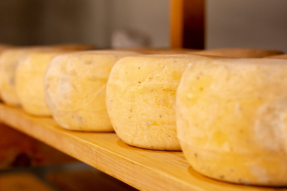 formaggi al tartufo listeria ph fp